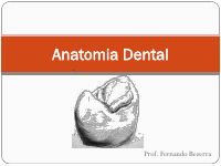 Anatomia Dental.pdf